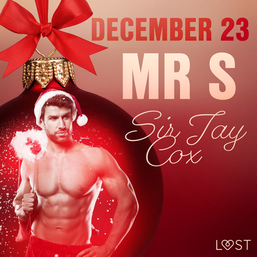 December 23: Mr S – An Erotic Christmas Calendar, Sir Jay Cox