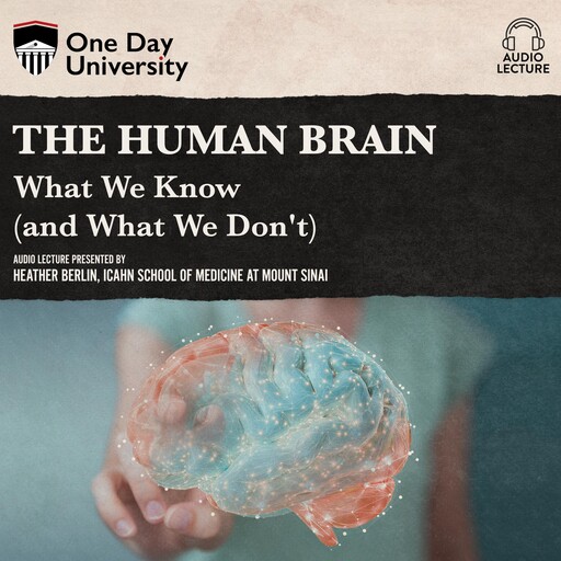 The Human Brain, Heather Berlin