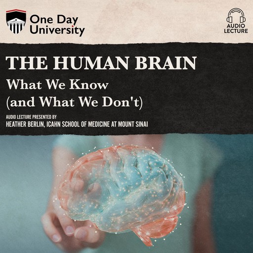 The Human Brain, Heather Berlin