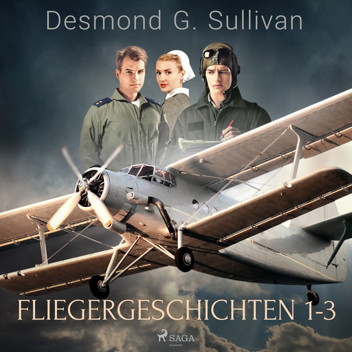 Fliegergeschichten 1-3, Desmond G. Sullivan