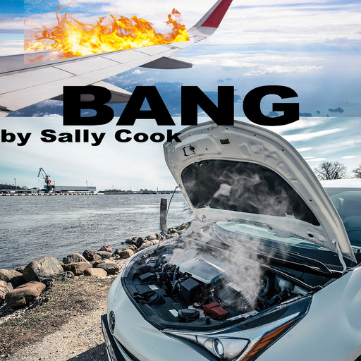 Bang, Sally Cook