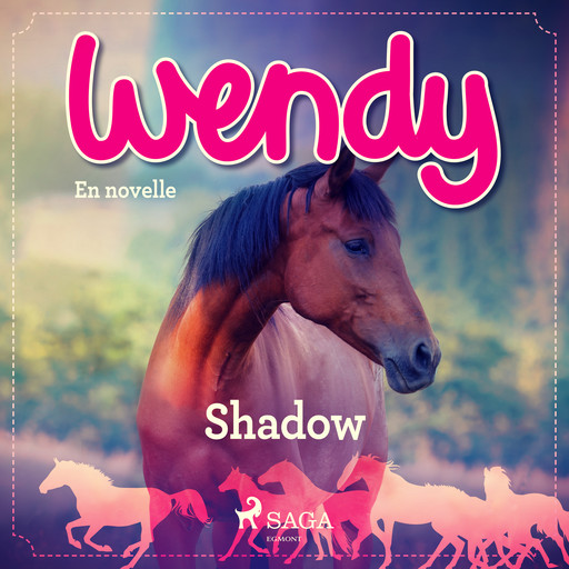Wendy - Shadow, Diverse