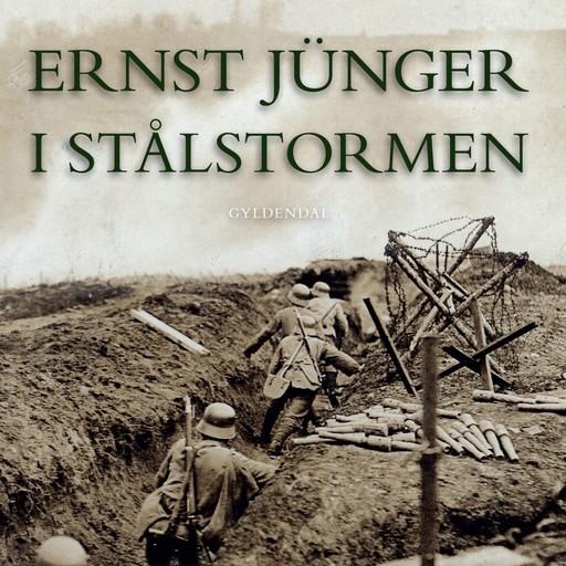 I stålstormen, Ernst Jünger