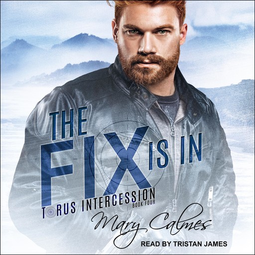 The Fix Is In, Mary Calmes