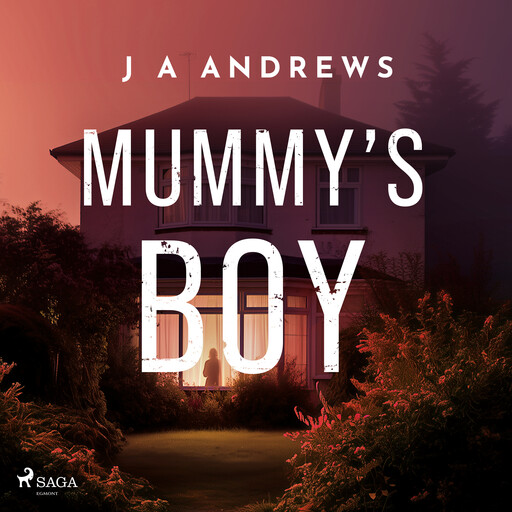 Mummy's Boy: A dark domestic thriller about a mother haunted by her son's disappearance, J.A. Andrews