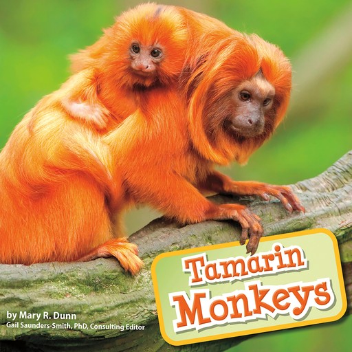 Tamarin Monkeys, Mary Dunn