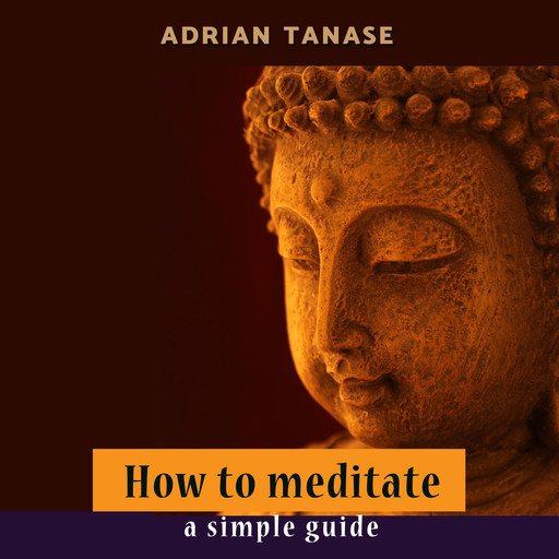 How To Meditate, Adrian Tanase