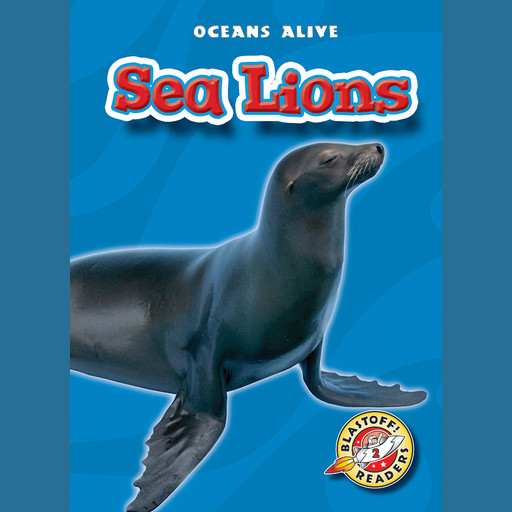 Sea Lions, Colleen Sexton