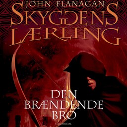 »Skyggens lærling« – en boghylde, Bookmate