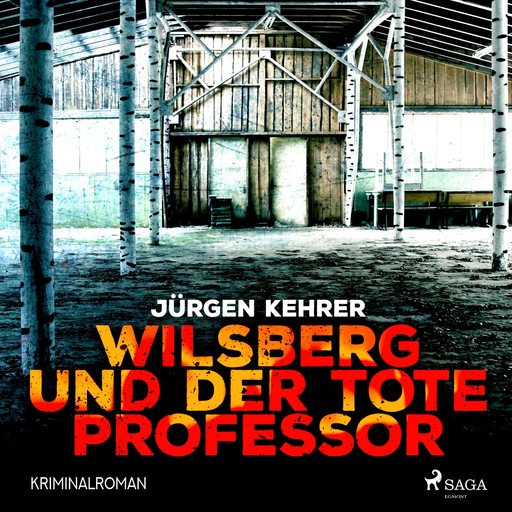 Wilsberg und der tote Professor - Kriminalroman (Ungekürzt), Jürgen Kehrer
