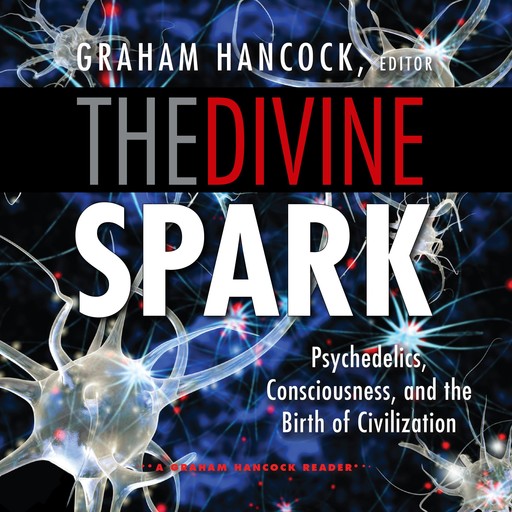 The Divine Spark, Graham Hancock