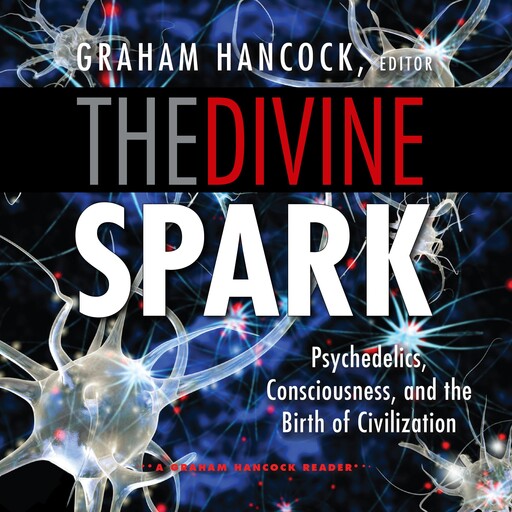 The Divine Spark, Graham Hancock
