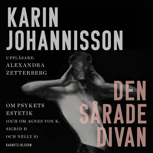 Den sårade divan, Karin Johannisson