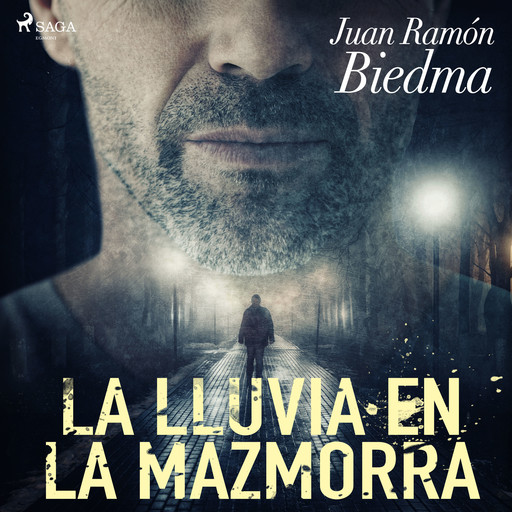 La lluvia en la mazmorra, Juan Ramón Biedma