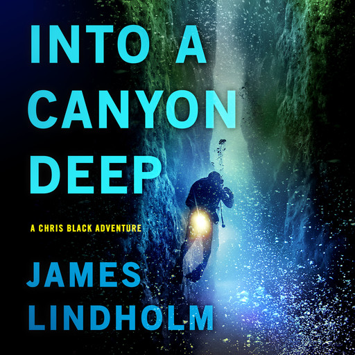 Into a Canyon Deep, James Lindholm