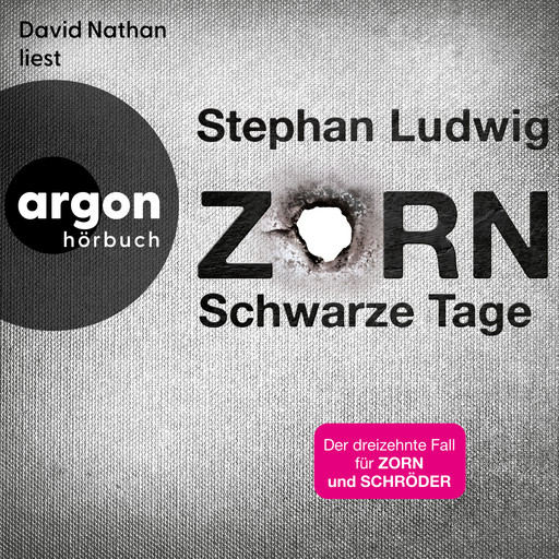 Schwarze Tage - Zorn, Band 13 (Ungekürzte Lesung), Stephan Ludwig