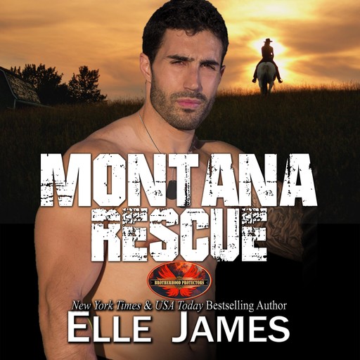 Montana Rescue, Elle James