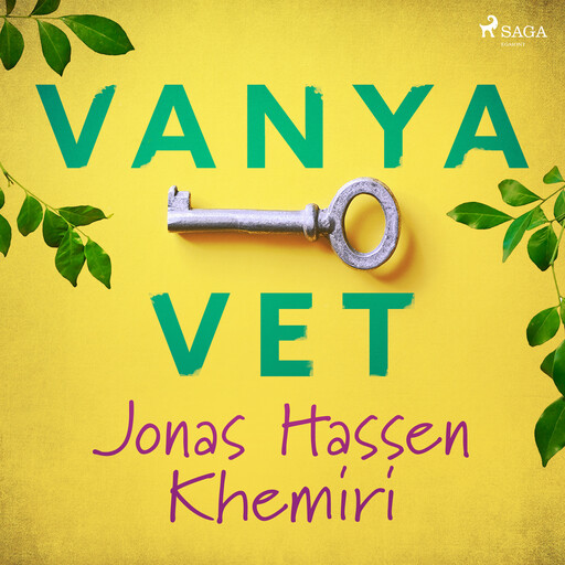 Vanya vet, Jonas Hassen Khemiri