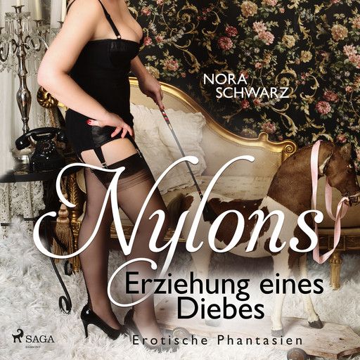 Nylons: Erziehung eines Diebes - Erotische Phantasien, Nora Schwarz