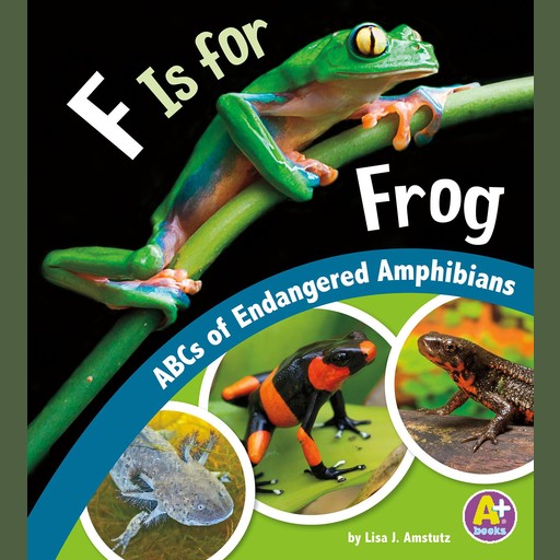 F Is for Frog, Lisa Amstutz