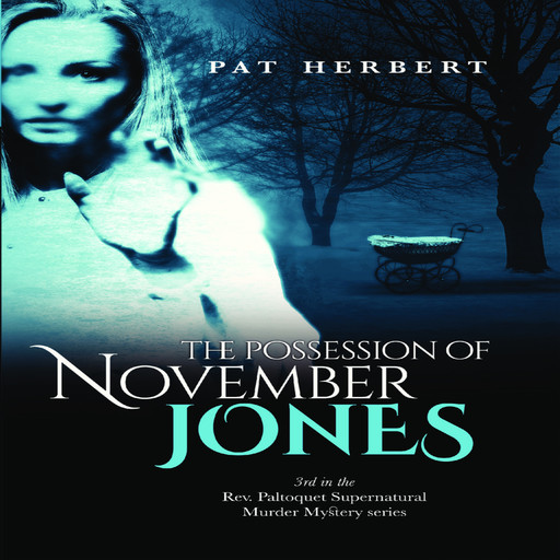 The Possession of November Jones: 3 (Reverend Paltoquet Mystery Series), Pat Herbert