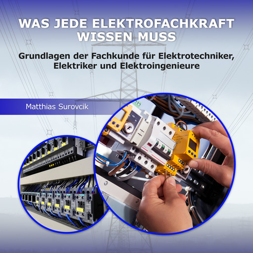 Was jede Elektrofachkraft wissen muss, Matthias Surovcik