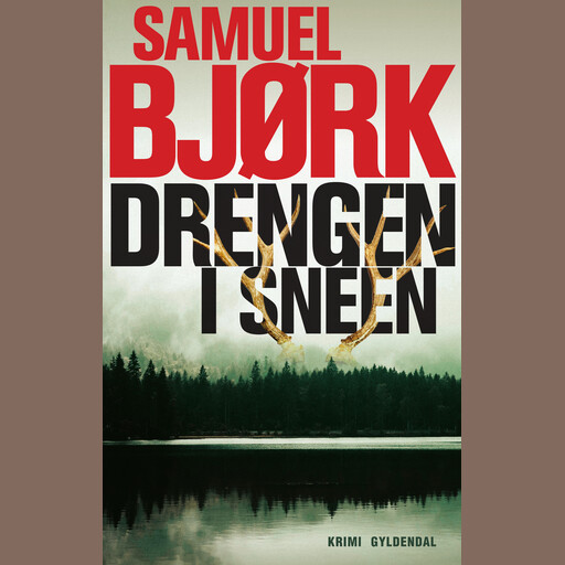Drengen i sneen, Samuel Bjørk