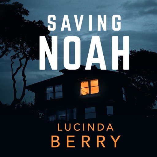 Saving Noah, Lucinda Berry