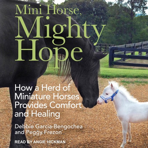 Mini Horse, Mighty Hope, Peggy Frezon, Debbie Garcia-Bengochea