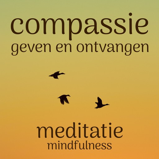 Compassie Geven en Ontvangen: Mindfulness Meditatie, Suzan van der Goes