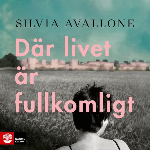 Där livet är fullkomligt, Silvia Avallone