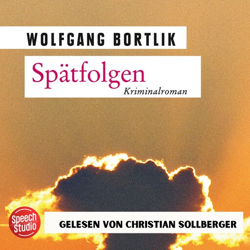 Spätfolgen: Kriminalroman, Wolfgang Bortlik