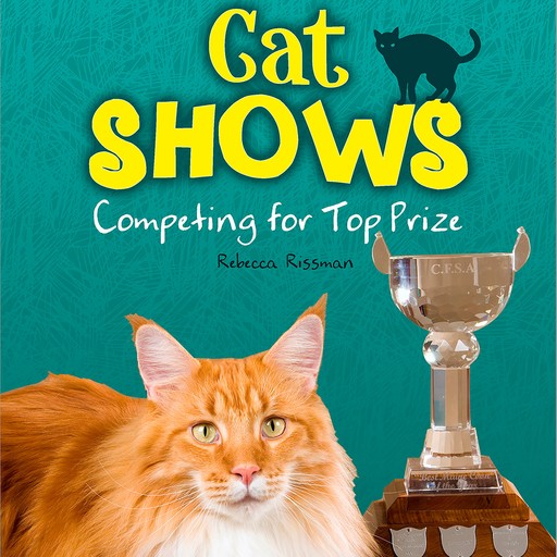 Cat Shows, Rebecca Rissman