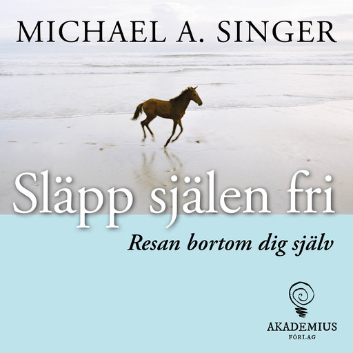 Släpp själen fri, Michael A Singer