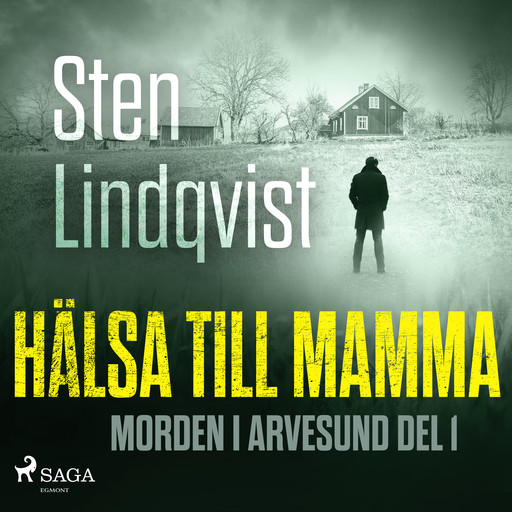 Hälsa till mamma, Sten Lindqvist