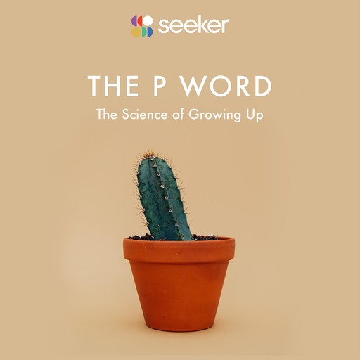 The P Word, Seeker