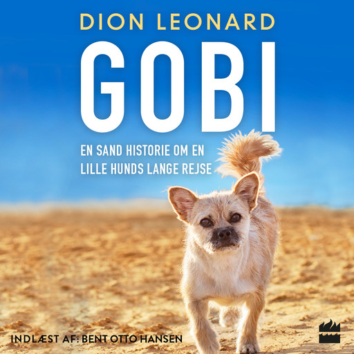 Gobi - en sand historie om en lille hunds lange rejse, Dion Leonard