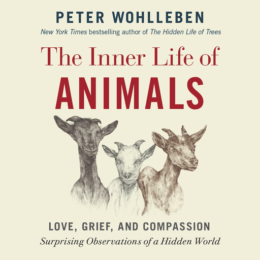 The Inner Life of Animals: Love, Grief, and Compassion -- Surprising Observations of a Hidden World, Peter Wohlleben, Foreword by Jeffrey Moussaieff Masson, Translation by Jane Billinghurst