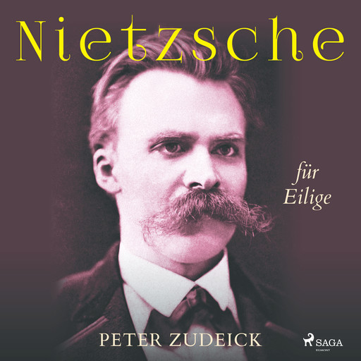 Nietzsche für Eilige, Peter Zudeick