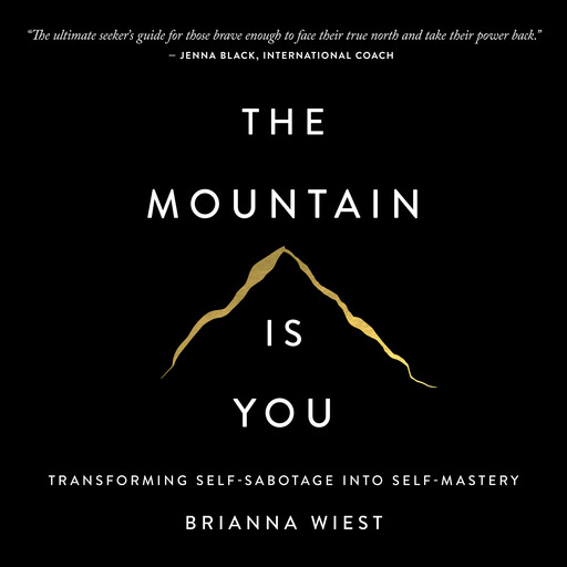 The Mountain is You, Brianna Wiest