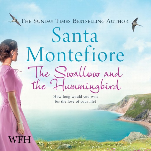 The Swallow and the Hummingbird, Santa Montefiore