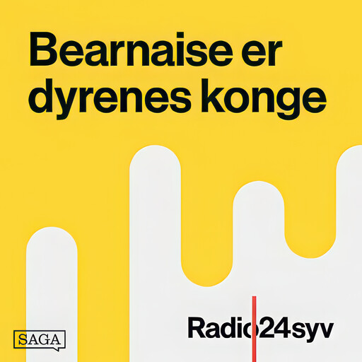 Calle Henriques på Lumskebugten, Martin Kongstad