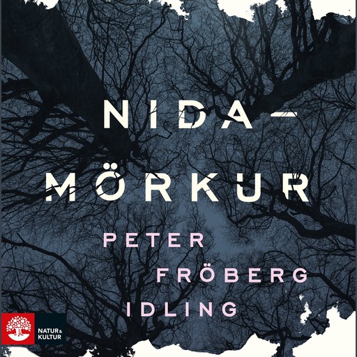 Nidamörkur, Peter Fröberg Idling