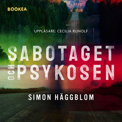 Sabotaget och psykosen, Simon Häggblom
