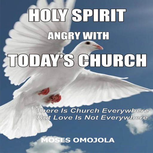 Holy Spirit Angry With Today’s Churches: There is Church Everywhere but Love Is Not Everywhere, Moses Omojola