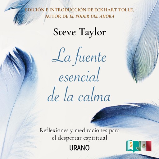 La fuente esencial de la calma, Steve Taylor