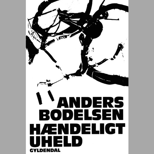 Hændeligt uheld, Anders Bodelsen