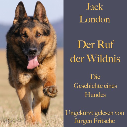 Jack London: Der Ruf der Wildnis. Die Geschichte eines Hundes, Jack London