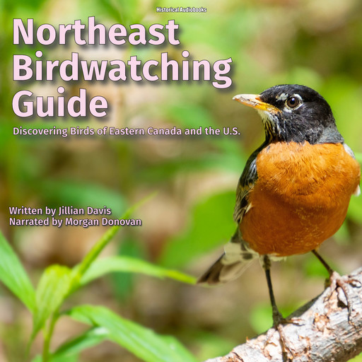Northeast Birdwatching Guide, Jillian Davis