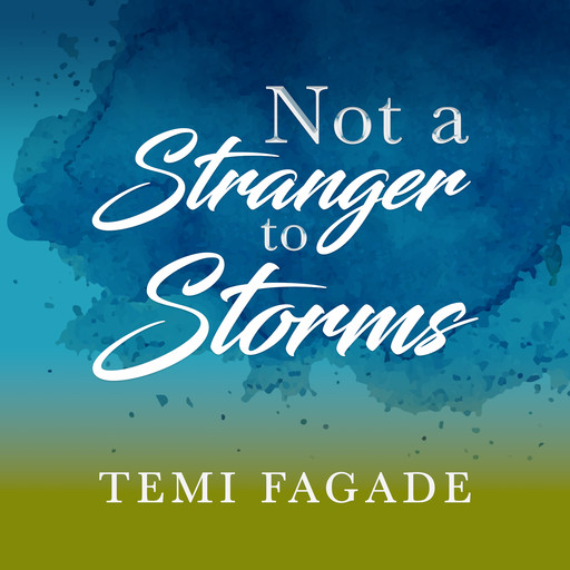 Not A Stranger To Storms, Temi Fagade